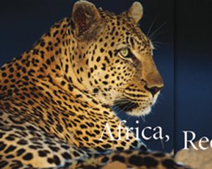 A&K — Africa